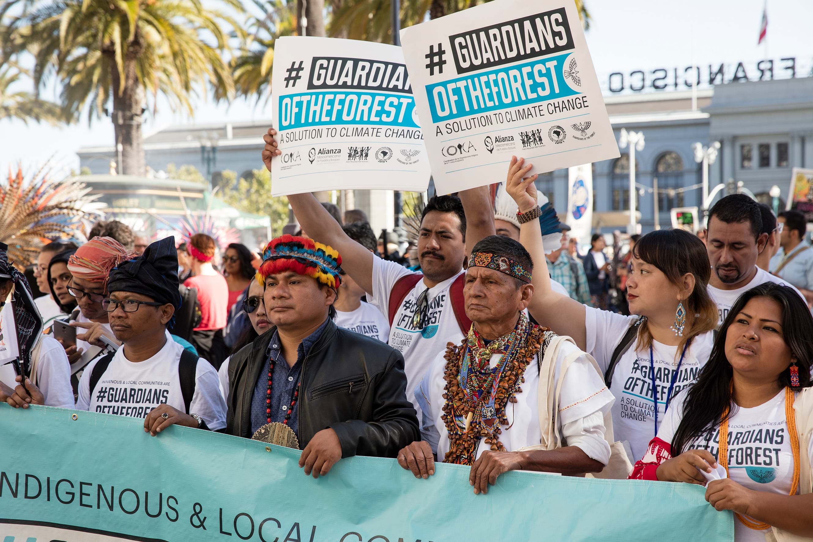 Forest recognition for Papua tribe raises hopes for climate, Environment  News