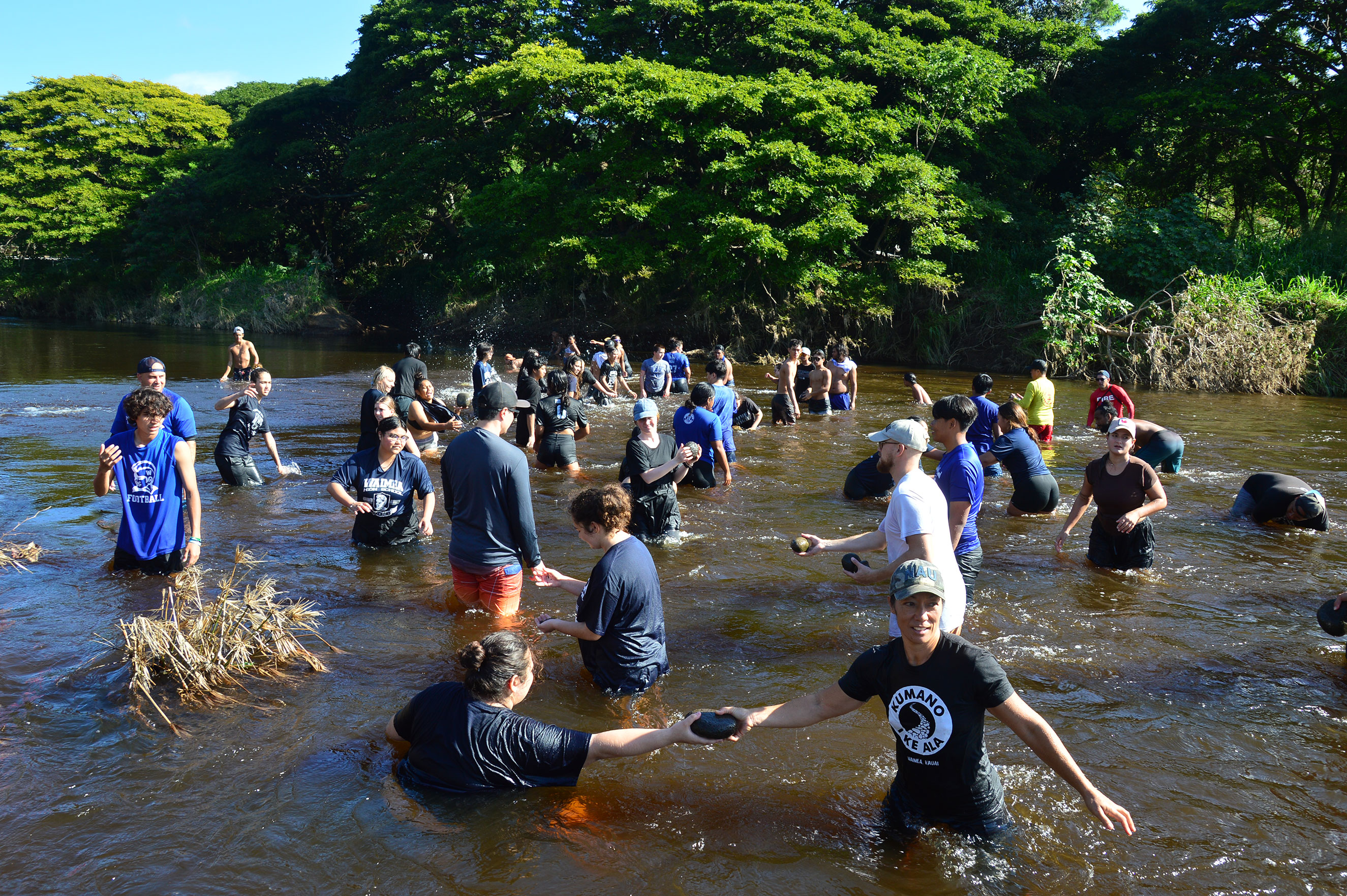 A large group of people wade through a shallow river, participating in a communal activity. Some are holding hands while others are picking up objects. They are dressed in casual clothing and appear to be enjoying a sunny day surrounded by lush green trees.