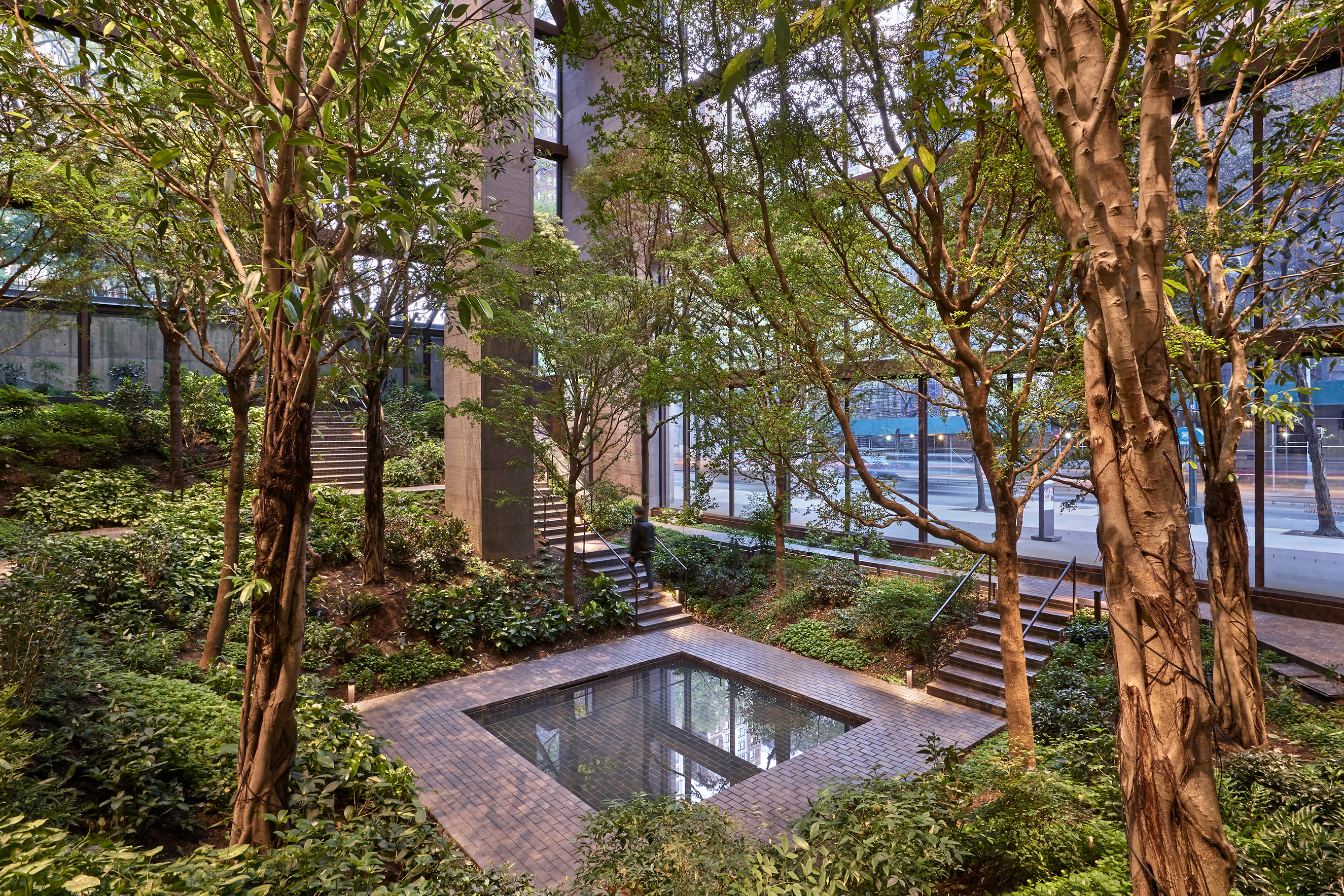 The atrium space inside the Ford Foundation Center for Social Justice building is filled with various trees and plants, providing a natural and calming environment.