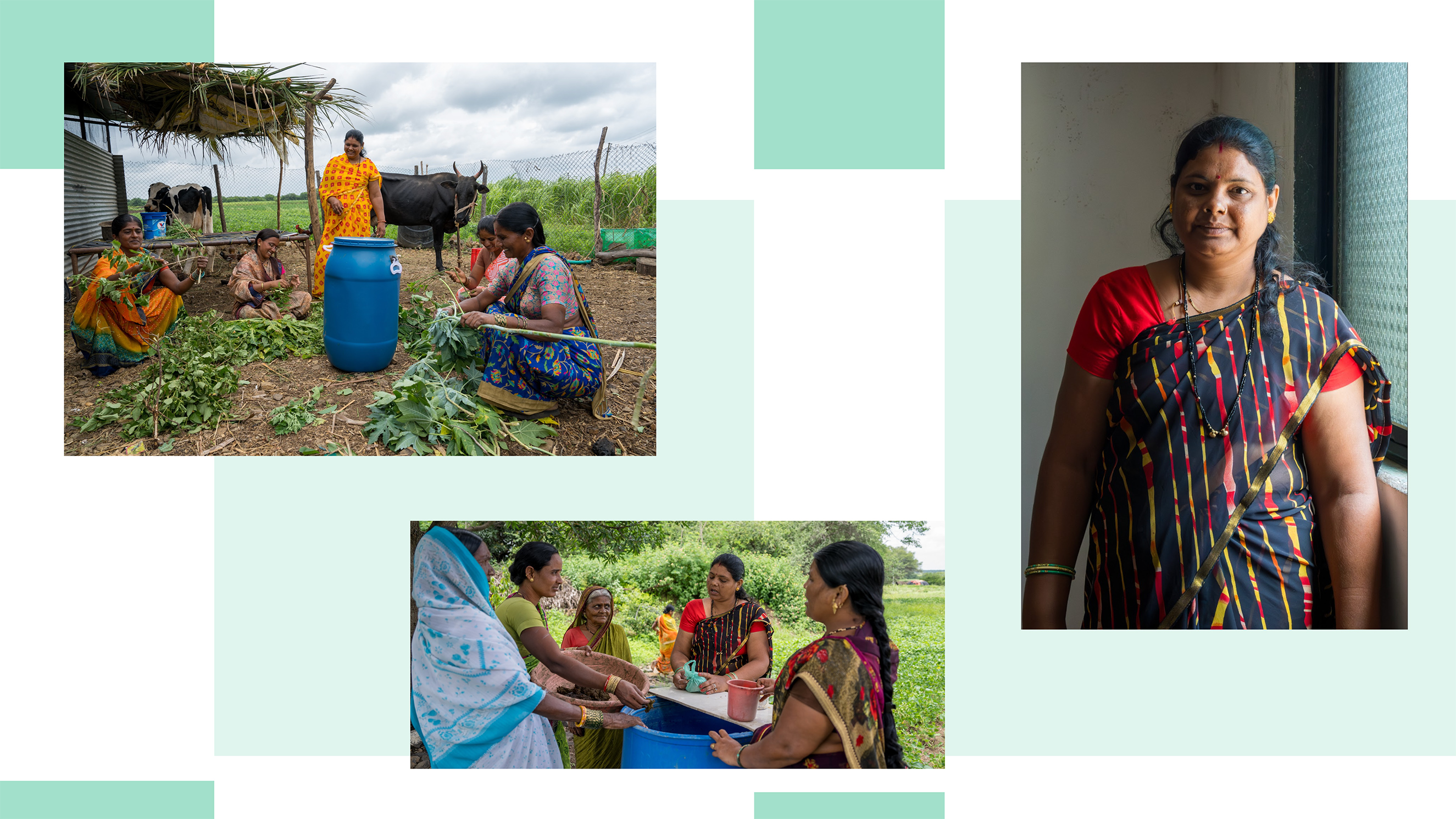 A collage of various images of Archana Mane and other women in her sustainable farming group over an abstract green and white background. The women gather and prepare vegetables while conversing.