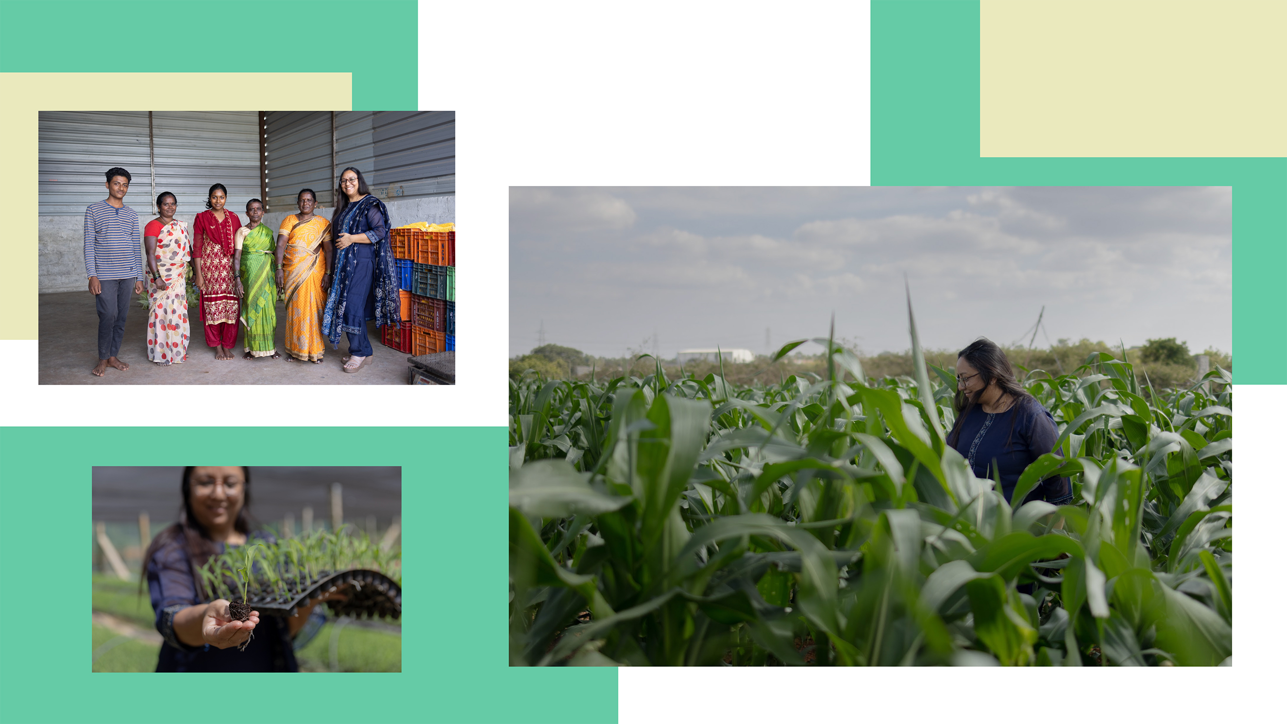 A collage of various images of Dr. Gayatri Swahar over an abstract green and white background. In two of the scenes, Swahar is standing in the fields, surrounded by green crops, while in the third, she is posing for a photo alongside farmers.