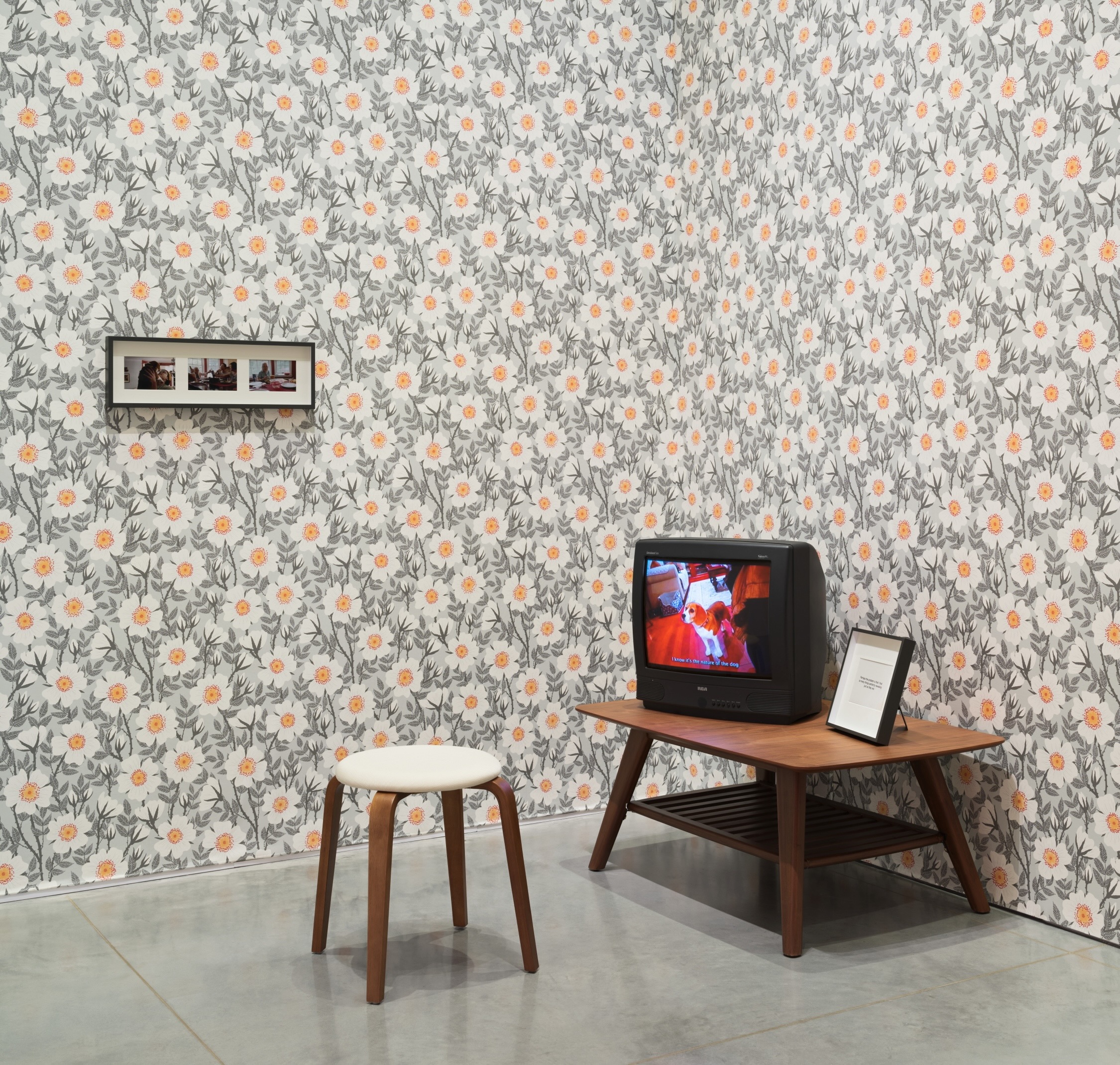 Film installation with a vintage television against floral wallpaper.